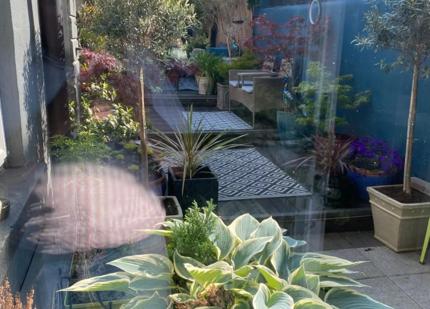 Avoca House B&B Dublin Bed & Breakfast